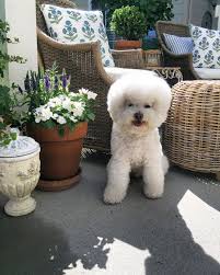 Delinda On Instagram Feelin Hot Hot Hot Already 90 At 1030 This Morning So We Are Headed Inside We Ve Been Enjoy Evening Walk Late Evening Summer Living