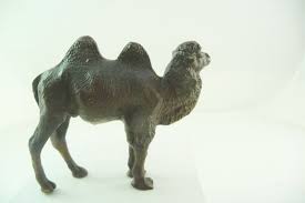 Although the camels met these needs, the united states camel corps was never considered much of a success. Bactrian Camel Composition Length 11 Cm Height 9 Cm Figurenschnapp