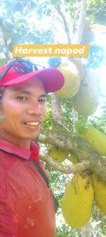 Supporting new community members