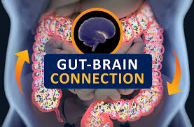 I've had pretty bad anxiety for more years now than i can remember, and severe anxiety since a medication problem years ago. The Gut Brain Connection Harvard Health