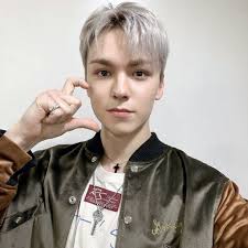 seventeen vernon