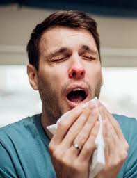 Hi Everyone, how talented is NZ. Love this group thank you Chooice. My name  is Tammie Hodgetts I'm a full time artist who creates from my studio in  rural Rangitikeiwith my little