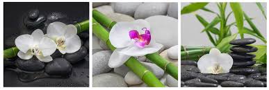 Heute bestehen sie meist aus baumwolle die richtige leinwand für die richtige maltechnik. Wandbild 3er Set Je 30x30cm Leinwand Orchideen Bambus Steine Wellness Deko Levandeo