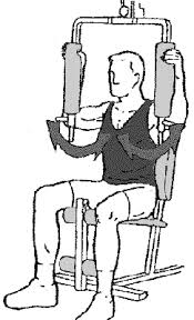 Banc De Musculation Simple Ou Appareil Complet Banc De Musculation Musculation Programme Musculation Homme