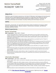 senior consultant resume samples