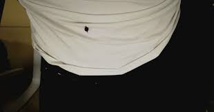Take out even the toughest stains with tide detergent. How Do You Get Berry Stains Out Of White Clothes Without Ruining The Fabric Cleaninginstructor Com
