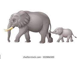 Baby Elephant Mother Images Stock Photos Vectors Shutterstock