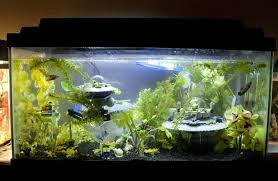 Lego Aquarium Decorations Google Kereses Aquarium Decorations Fish Tank Aquarium
