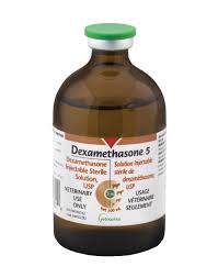 Image result for Dexamethasone