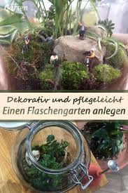 Ein Garten Unter Glas Flaschengarten Pflanzen Pflanze Im Glas