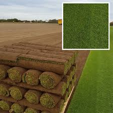 Pronostics, résultats, cotes, arrivées, rapports, vidéo des courses, tout le turf est sur pmu.fr ! Buy Garden Turf Ivinghoe Turf
