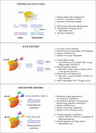 Semantic scholar profile for shan su, with 17 highly influential citations and 24 scientific research papers. Frontiers Delivery Platforms For Crispr Cas9 Genome Editing Of Glial Cells In The Central Nervous System Genome Editing