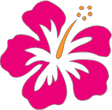 Hibiscus Flower Clipart Clipart Kid Hibiscus Clip Art Flower Clipart Flower Graphic Design