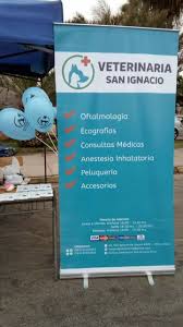 Clínica Veterinaria San Ignacio ARICA