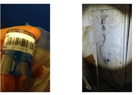 Marsha — tucson arizona united states. Mold Inspection Testing Orlando Fl 4736 Willamette Cir Orlando Fl 32826 Yp Com