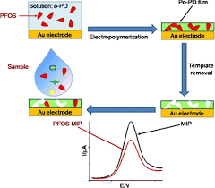 7  facilitates the ec reaction 6 role of electrode potential e 0 20 40 60 80 100. New Trends In The Electrochemical Detection Of Endocrine Disruptors In Complex Media Springerlink