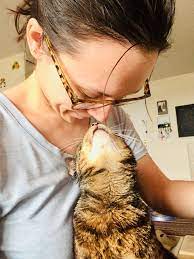 What are the best ways to bond with your cat? Strong Bond With Cat Guide 29 Ways To Make Your Cat Love You