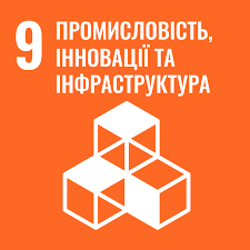 Goal 9