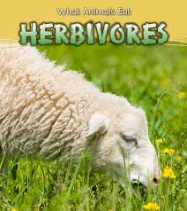 However, let's just keep our search till the list of herbivores animals, mainly mammals. Buy Herbivores What Animals Eat Book Online At Low Prices In India Herbivores What Animals Eat Reviews Ratings Amazon In