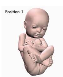 3 Ultrasounds Baby Won T Uncross Legs Babycenter
