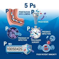 Image result for Pleiotaxis