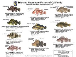 New Groundfish Regulations For Ca California Ocean Fishing