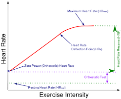 Maximum Heart Rate Hrmax Fellrnr Com Running Tips