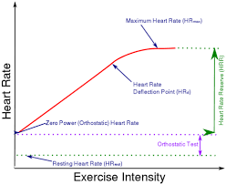 Heart Rate Fellrnr Com Running Tips