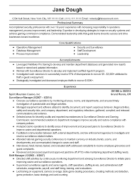 professional security consultant