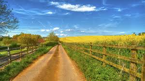 Wallpaper 3840x2160 Road Field Fence House Landscape 4k Ultra Hd Hd Background Hd Wallpapers Ultra Hd Wallpapers Orquideas Imagens Descubra aqui os melhores papeis de parede para celular 3d e 4k disponiveis em toda a internet. landscape 4k ultra hd hd