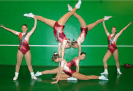 (8 PERSONAS TRABAJANDO STEP)