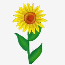 Bunga matahari adalah salah satu bunga hias favorit yang banyak digemari selanjutnya. Lukisan Pokok Bunga Matahari Cikimm Com