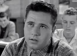 What other names did Eddie call Wally in Leave It To Beaver?