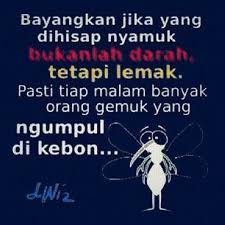 Pin Di Funny