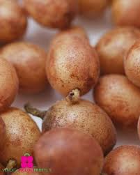 Image result for Clausena lansium