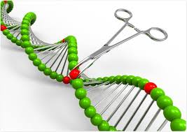 The development of new plant varieties by genetic modification aims at improving their features or. How Could A Virus Be Genetically Engineered