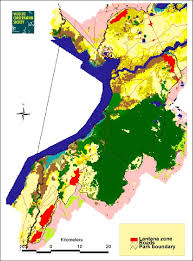 Image result for Pavetta pierlotii