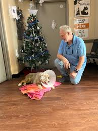 Orange County Animal...