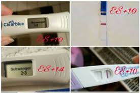Einreiseformular, negatives testergebnis, quarantäne für einreisende, ausnahmen und zusätzliche informationen für einreisende touristen. An Alle Die Die Einnistung Gespurt Haben Und Recht Damit Hatten Eine Frage Urbia De