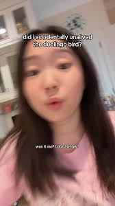 Duolingo Bird in My Room