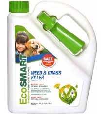 Fertilizes your lawn as well. Organic Weed Grass Killer 64oz Spray Planet Natural