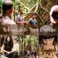 Tobacco and Tree Dieta - November 2 - 30, 2025  event image
