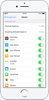 Mengenai Pilihan Roaming Data Seluler Untuk Iphone Dan Ipad Apple Support
