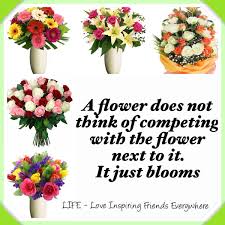 But if i did have a girlfriend, i'd bring. Flowers Life Love Inspiring Friends Everywhere
