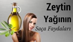 Zeytinyaginin Faydalari Ve Zararlari Nelerdir Faydalari Nelerdir Zeytinyagi Sac Dogal Sac Bakimi
