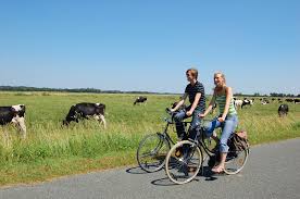 Jan Schupp Fahrradweg