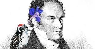 In the Company of Plants and Rocks: Mr. Nuttall and his violet, his lily,  his larkspur, his sunflower, his evening primrose, …