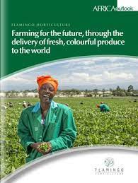 Flamingo Horticulture By Outlook Publishing Issuu