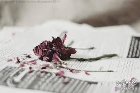 صور للتصميم اجمل خلفيات تصميم 2020 meat jerky