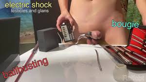 Собака-раб имеет электричество на яйцах и члене